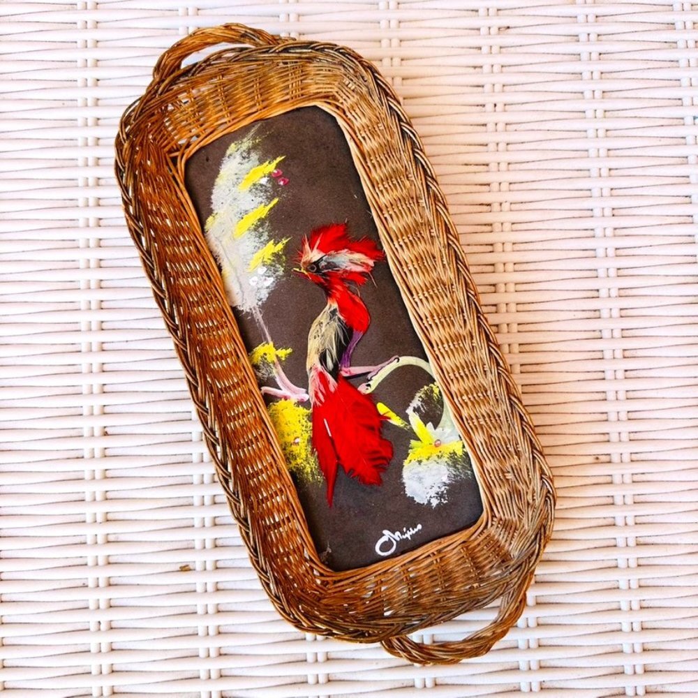 Beautiful Vintage1940's Mexican feather art bird rattan basket wall decor